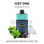IGET ONE 12000 puffs - Mountain Spring Mint Ice