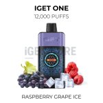 IGET ONE 12000 puffs - Raspberry Grape ice